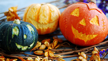 Cute pumpkin , Festive decorations HD wallpaper