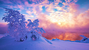 Morning Frost, winter, snow, trees, colors, landscape, sky, sunrise HD wallpaper