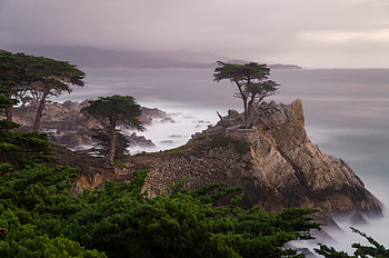 Cyprus rocks and sea, Tree , backgrounds, Coastal serenity HD wallpaper