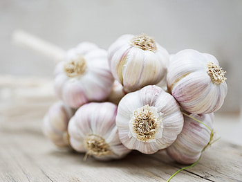 Garlic health benefits, Natural remedy, Immune booster, Wellness advantages HD wallpaper
