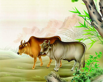 Vector arts, branch, art, animals HD wallpaper