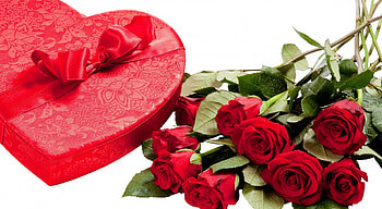 * With love *, roses, box, love, red roses, flowers, gift, heart HD wallpaper