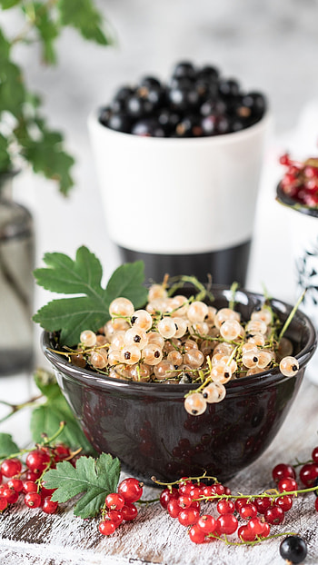 Currant, Berries HD phone wallpaper