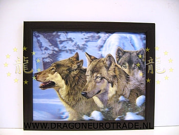 Wolves in snow, wolves, animals, snow, dogs, nature, wolf HD wallpaper
