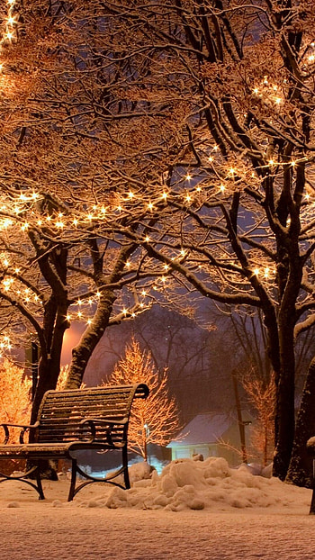 Winter lights, , Snowy landscapes, Magical atmosphere HD phone wallpaper