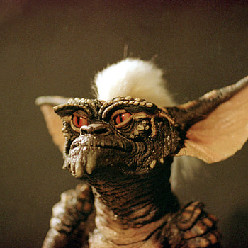 Chris Columbus movies, Flashback gremlins, Mysterious creatures, Companion film HD phone wallpaper