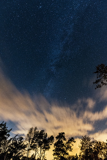 Nature, Trees, Stars, Clouds, Starry Sky HD phone wallpaper