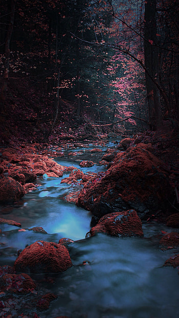 River, Scenery HD phone wallpaper