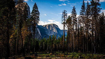 Yosemite framed by Wildfire, california, landscape, clouds, trees, sky, usa HD wallpaper