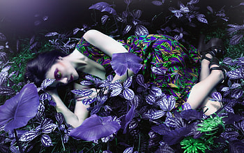 Beauty, purple, model, green, girl, woman HD wallpaper