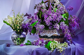 Lilac in a basket, Basket, Vase, Lily, Purple HD wallpaper