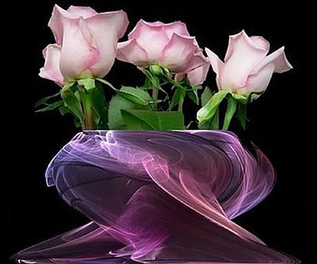 Vase With Pink Roses, roses, flower, vase, nature, flowers HD wallpaper