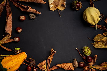 A captivating autumn still life featuring dry leaves, gourds, and chestnuts on a dark background. HD wallpaper