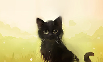 Love kitten, animal, kitten, black, love, cat HD wallpaper