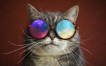 :-), pisica, creative, fantasy, sunglasses, cat, funny HD wallpaper