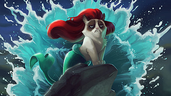 cat, mermaid, cartoon, grumpy cat HD wallpaper