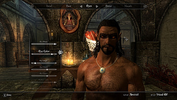 Amitiel - Male Wood Elf Save Added Dark Elf at Skyrim Nexus - mods and community HD wallpaper