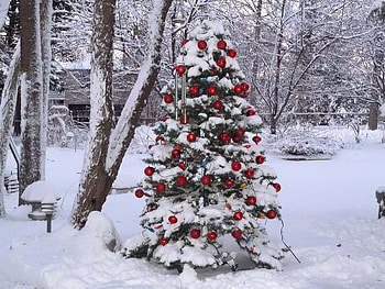 Christmas Outdoors, x-mas, snow, tree, ornaments HD wallpaper