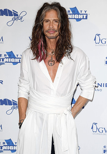 Celebrity Fight Night 2017, Steven Tyler HD phone wallpaper