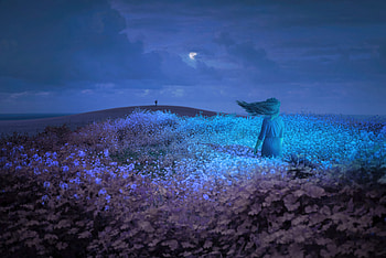 Looking You From Far Away, artist, artwork, digital-art HD wallpaper