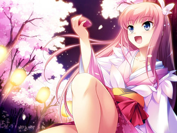 Sakura, night, pink, anime, beautiful, girl HD wallpaper