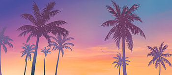 Rockstar Games - Official GTA 6 (VI) Trailer 1, sun, sunset, bird, gradient HD wallpaper