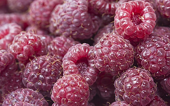 Raspberry, Macro, Berry, Ripe HD wallpaper