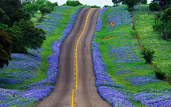 Texas Hill Country, Texas , Stunning HD wallpaper