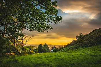 Nature, field, green, sunsets, clouds, trees, sky, U, beauty HD wallpaper