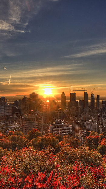 Canada travels, Montreal charm, Vibrant cityscape, European flair HD phone wallpaper
