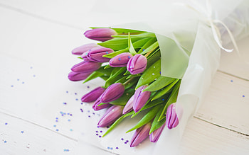bouquet of purple tulips, spring flowers, tulips, background with tulips, beautiful bouquet, purple tulips HD wallpaper