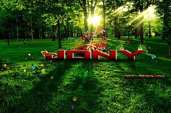 Jony, rays, gree, colours, cat, grass, butterfly, fantasy, red, trees, world, flowers, sun HD wallpaper