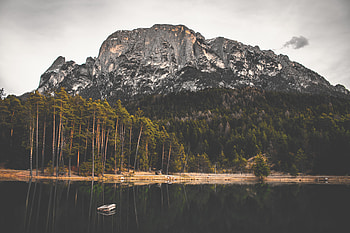 Nature, Trees, Rock, Lake, Forest HD wallpaper