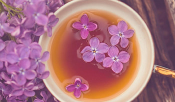 * Lilac tea *, tea, flower, spring, cup, lilac HD wallpaper