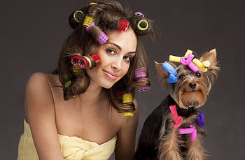 Funny Situation, dog, colored, woman, beauty, curlers HD wallpaper