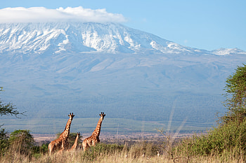 Kilimanjaro, Travels, Tourist attraction, Adventure tours HD wallpaper