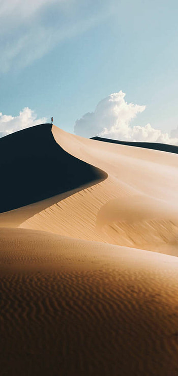 desert wonders, Nature's marvels, Sands of time, Immersed in dunes HD phone wallpaper
