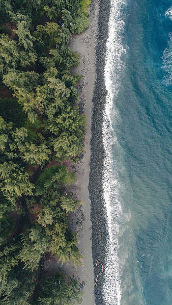Nature, Water, Trees, Beach, View From Above, Coast HD phone wallpaper