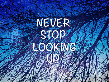 Words, Starry Sky, Branches, Inscription, Motivation HD wallpaper