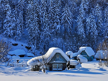 Winter Forest, winter, wooden, snow, house, trees, forest HD wallpaper