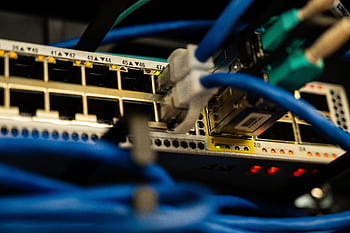 Close-up of ethernet cables plugged into a network switch, showcasing IT infrastructure. HD wallpaper