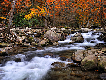 Great Smoky Mountains, National Park, Beautiful scenery HD wallpaper