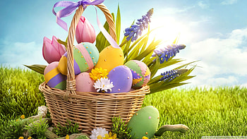 Colourful Easter Eggs, Colourful, Eggs, Easter HD wallpaper