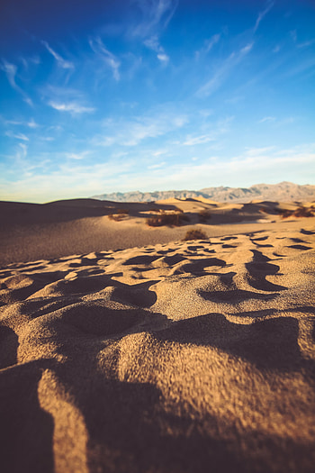 Desert, sand surface, sunny day HD phone wallpaper
