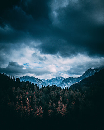 Nature, Trees, Mountains, Clouds, Forest HD phone wallpaper