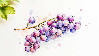 Vibrant Grapes in Ultra, grapes, fruit, watercolor, nature, food HD wallpaper