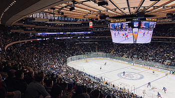 Madison Square Garden, Employee experience, Fuel50, Workplace transformation HD wallpaper
