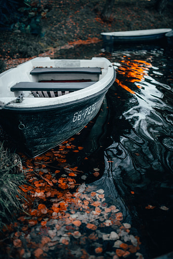 Water, Waves, Shore, Bank, Miscellanea, Miscellaneous, Boat, Foliage HD phone wallpaper