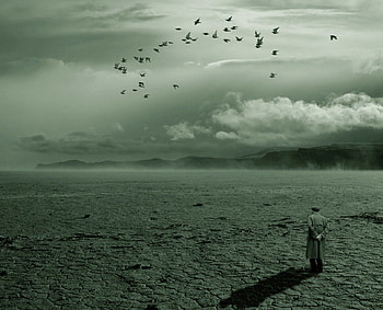 APOCALYPSE, fiction, destiny, bw, wp HD wallpaper