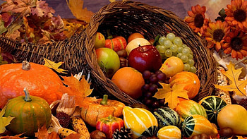 Autumn Harvest HD wallpaper